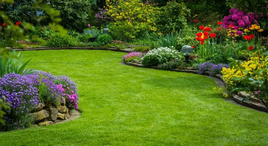 Landscaped Garden